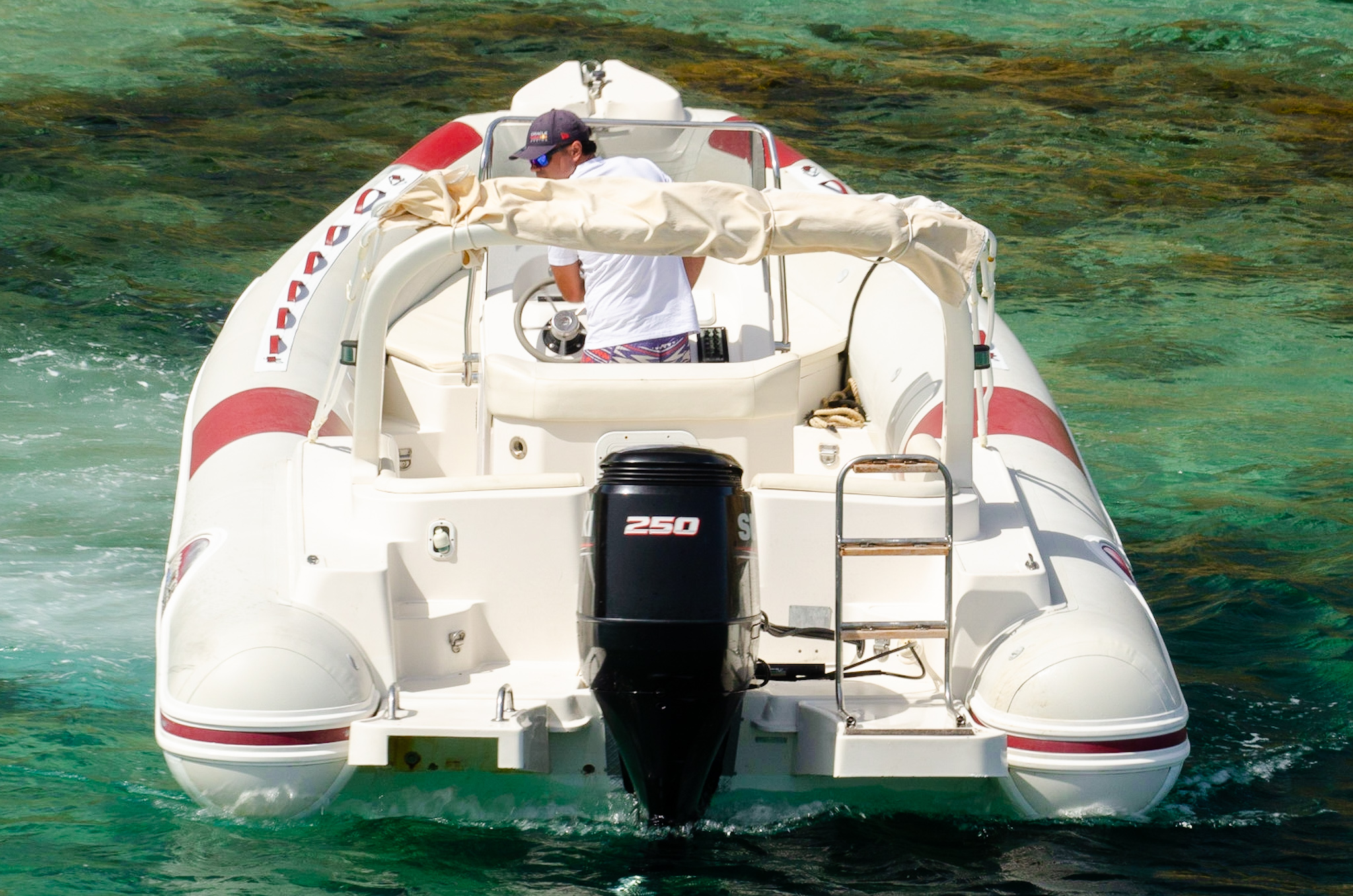 Eco Boat Tour with Marine Biologist Chia