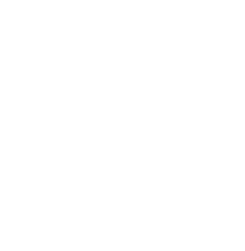 WaveProject logo